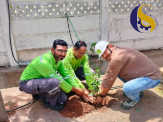 Green Initiatives for World Environment Day